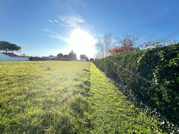Terrain Arvert 1542 m2 | LA TREMBLADE IMMO