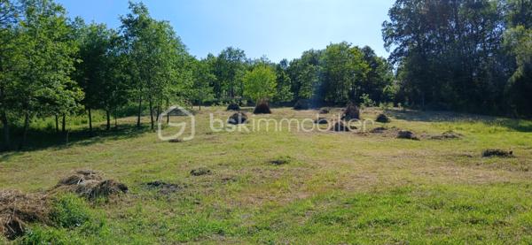 Terrain de 4 304 m²