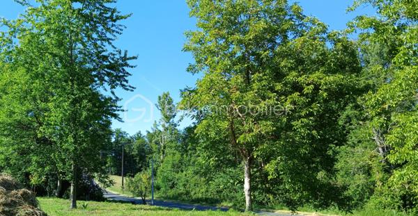 Terrain de 4 304 m²