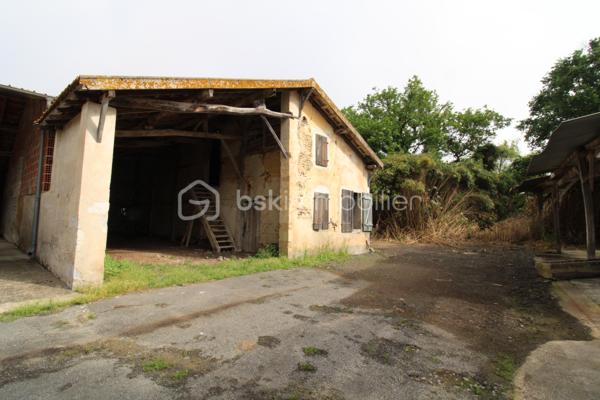 Venez découvrir cette maison à rénover ainsi que ses nombreuses dépendances.
La maison est composée de plusieurs pièces de vie et espaces à aménager selon vos souhaits pendant la rénovation.
A l'étage, un palier dessert quatre chambres ainsi que deux autres pièces pouvant servir à un dressing et salle d'eau par exemple.
Enfin, les combles sont aménageables sur environ 70m².
Côté extérieur, une parcelle d'environ 8 hectares vont permettra de profiter d'un environnement calme.
De nombreuses dépendances sont également présentes pour environ 250m², idéal pour stocker du matériel, des véhicules, transformer en habitation etc.
Après d'important travaux de rénovation, vous pourrez profiter de cette bâtisse aux volumes généreux avec un fort potentiel !

Contacter Nicolas GARDIES : 06.20.99.03.07