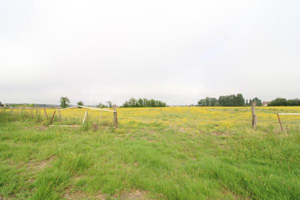 Venez découvrir cette maison à rénover ainsi que ses nombreuses dépendances.
La maison est composée de plusieurs pièces de vie et espaces à aménager selon vos souhaits pendant la rénovation.
A l'étage, un palier dessert quatre chambres ainsi que deux autres pièces pouvant servir à un dressing et salle d'eau par exemple.
Enfin, les combles sont aménageables sur environ 70m².
Côté extérieur, une parcelle d'environ 8 hectares vont permettra de profiter d'un environnement calme.
De nombreuses dépendances sont également présentes pour environ 250m², idéal pour stocker du matériel, des véhicules, transformer en habitation etc.
Après d'important travaux de rénovation, vous pourrez profiter de cette bâtisse aux volumes généreux avec un fort potentiel !

Contacter Nicolas GARDIES : 06.20.99.03.07