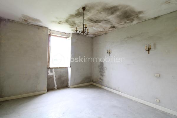 Venez découvrir cette maison à rénover ainsi que ses nombreuses dépendances.
La maison est composée de plusieurs pièces de vie et espaces à aménager selon vos souhaits pendant la rénovation.
A l'étage, un palier dessert quatre chambres ainsi que deux autres pièces pouvant servir à un dressing et salle d'eau par exemple.
Enfin, les combles sont aménageables sur environ 70m².
Côté extérieur, une parcelle d'environ 8 hectares vont permettra de profiter d'un environnement calme.
De nombreuses dépendances sont également présentes pour environ 250m², idéal pour stocker du matériel, des véhicules, transformer en habitation etc.
Après d'important travaux de rénovation, vous pourrez profiter de cette bâtisse aux volumes généreux avec un fort potentiel !

Contacter Nicolas GARDIES : 06.20.99.03.07