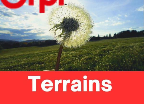 Terrain à vendre    Argens-Minervois