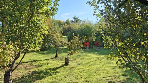 Maison au calme avec grand terrain et beau potentiel