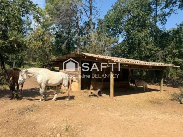 PROPRIÉTÉ ÉQUESTRE, 2 MAISONS, 11000 m² DE TERRAIN