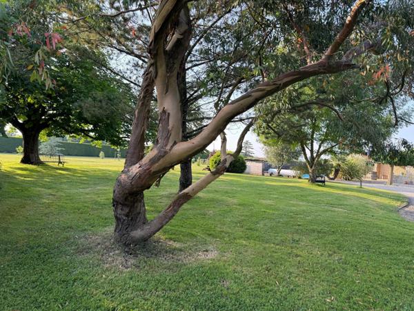 MAISON EN PIERRE DE 216 m2 4 chambres piscine et dépendances