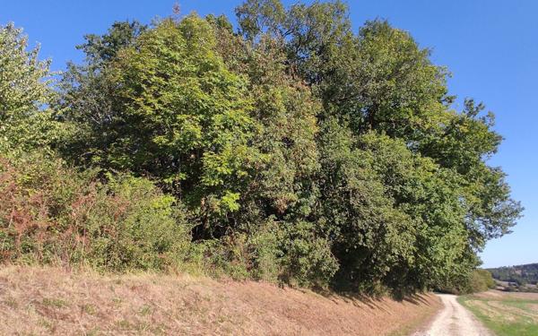 Terrain à vendre    Saint-Astier