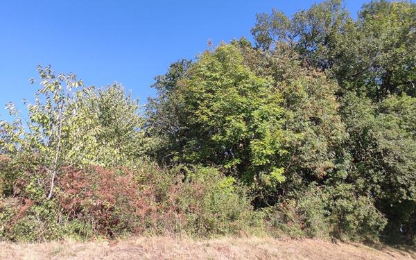 Terrain à vendre    Saint-Astier