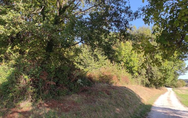 Terrain à vendre    Saint-Astier