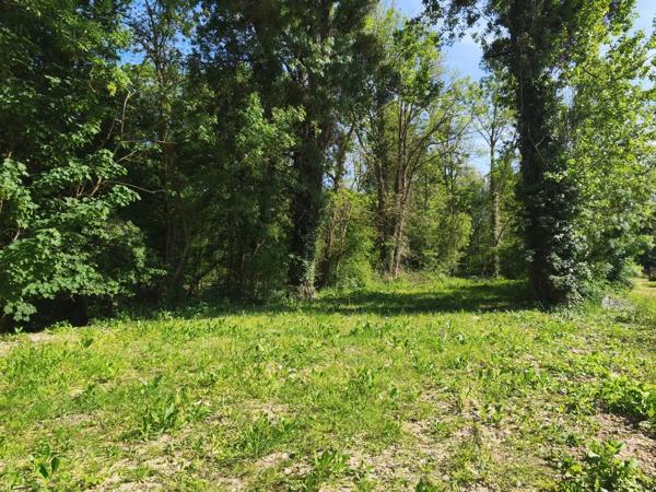 TERRAIN CONSTRUCTIBLE 1443 M² - MIGNE AUXANCES