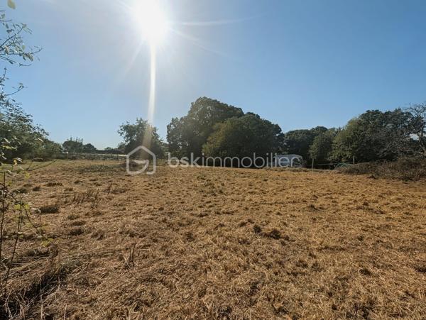À seulement quelques minutes de Plescop, au cœur d’un hameau paisible en pleine campagne, découvrez cette superbe longère en pierre rénovée avec soin, où le charme de l’ancien rencontre harmonieusement le confort d’une rénovation contemporaine.

Dès l’entrée, la maison séduit par sa magnifique pièce de vie lumineuse et pleine de caractère. La cuisine équipée, ouverte sur le séjour, s’intègre parfaitement à cet espace convivial.

Le salon constitue incontestablement l’un des véritables coups de cœur de la maison : toit cathédrale, murs en pierre apparente, belle hauteur sous plafond et cheminée avec insert créent une atmosphère chaleureuse et authentique. Les larges ouvertures apportent une belle luminosité et prolongent naturellement la pièce de vie vers l’extérieur.

Le rez-de-chaussée offre également le confort d’une vie de plain-pied, avec une chambre, une salle d’eau et un WC.

À l’étage, une mezzanine ouverte sur le séjour dessert une seconde chambre ainsi qu’une future salle d’eau. Quelques finitions restent à prévoir à ce niveau : peintures et revêtements de sol, ainsi que l’aménagement de la salle d’eau. Les arrivées d’eau, évacuations et alimentations électriques sont déjà en place, permettant aux futurs propriétaires de finaliser cet espace selon leurs envies.

À l’extérieur, la maison dispose à l’arrière d’un agréable jardin sans vis-à-vis, idéal pour profiter pleinement du calme de la campagne. La longère et son jardin sont implantés sur une parcelle d'environ 230 m².

Un véritable atout vient compléter l’ensemble : un terrain annexe d’environ 1 330 m² est vendu avec la propriété, offrant un bel espace supplémentaire pour profiter de la nature, accueillir des animaux, créer un potager ou simplement disposer d’un grand terrain à proximité de la maison.

Cette longère séduira les amateurs de pierre, de beaux volumes et d’authenticité, à la recherche d’un environnement calme tout en restant à proximité de Plescop et de Vannes.

Les atouts : longère en pierre rénovée, superbe pièce de vie cathédrale avec cheminée, cuisine équipée ouverte, vie de plain-pied, 2 chambres, 2 salles d’eau dont une à finaliser, mezzanine, jardin sans vis-à-vis et terrain annexe d’environ 1 330 m².

Un bien plein de charme et de caractère, à découvrir sans tarder.