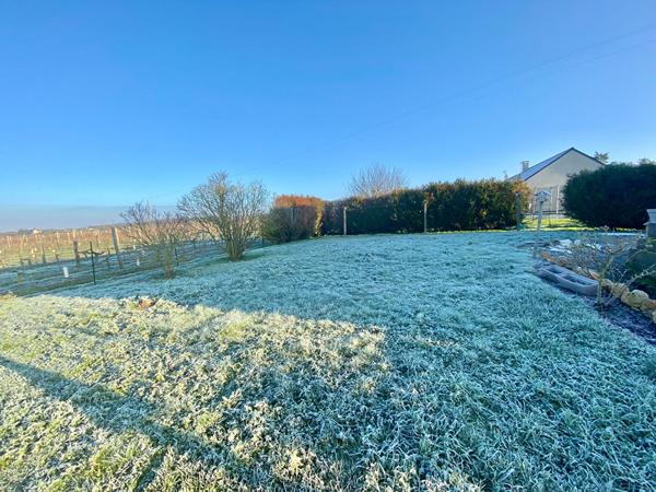 Pavillon 3 chambres lumineux avec vue sur les vignes - ÉPIEDS, proche Saumur