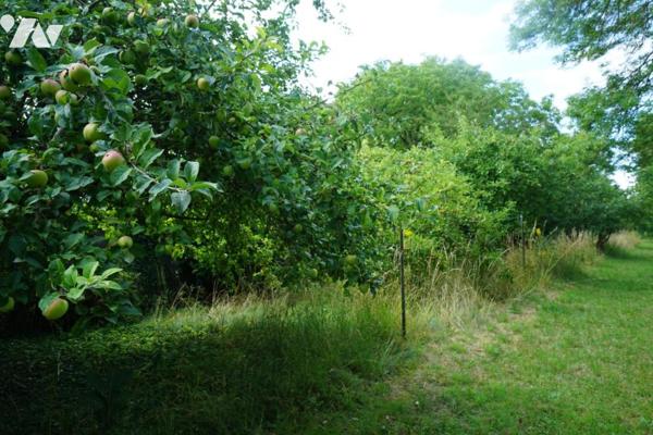 Maison AMIENS St HONORE grand jardin, 3 chambres