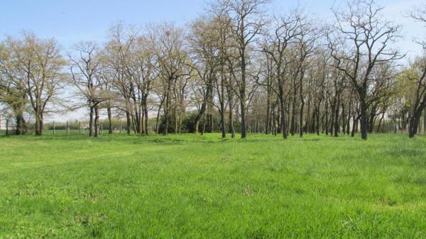 Vente maison Averdon (41330) 10 pièces 230m²