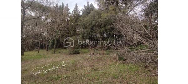 Terrain de 12 175 m²