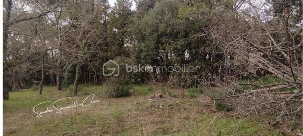 Terrain de 12 175 m²