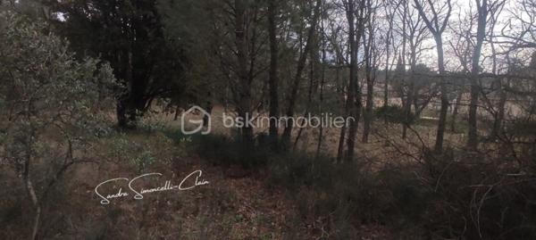 Terrain de 12 175 m²