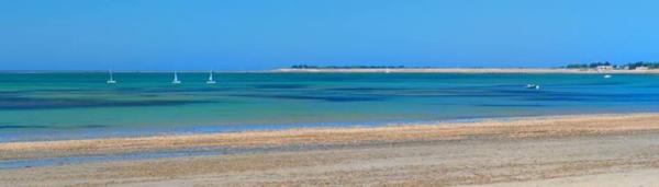 Location APPT T2 38.49 m² La Couarde sur Mer - 17670 / Réf. : 60108