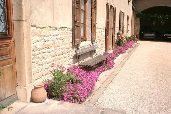 Élégance patrimoniale au coeur d’un parc arboré