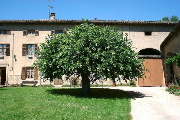 Élégance patrimoniale au coeur d’un parc arboré