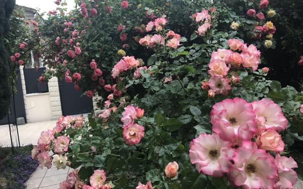 Maison à vendre    4 pièces • 85 m2 Le Blanc-Mesnil