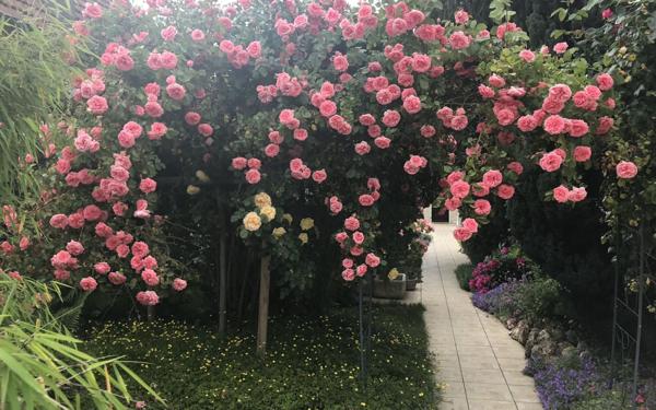 Maison à vendre    4 pièces • 85 m2 Le Blanc-Mesnil