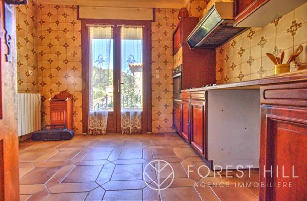 Arles-sur-Tech (66150) Maison 4 faces – fort potentiel, grand garage et terrain