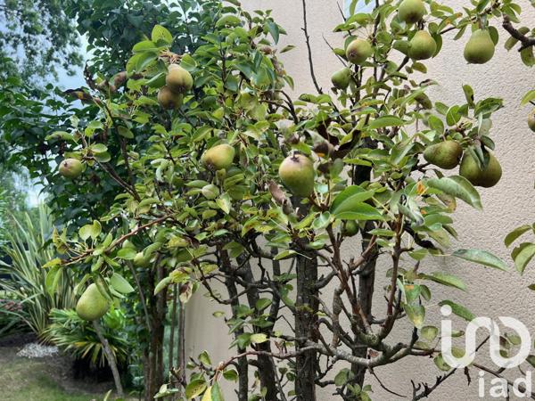 Maison à vendre 6 pièces 135 m² Saint-Gratien