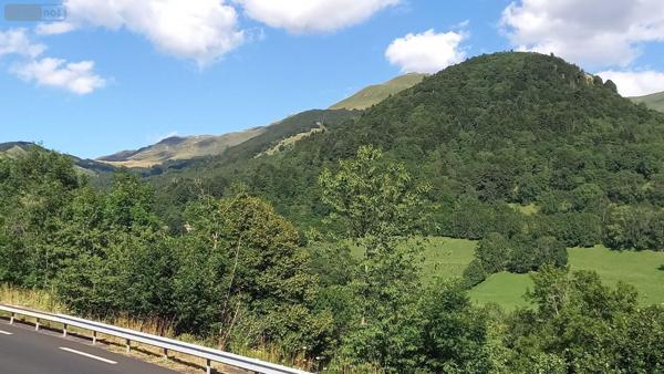 Maison à vendre à Saint-Jacques-des-Blats dans le Cantal (15800), ref : MG/2394
