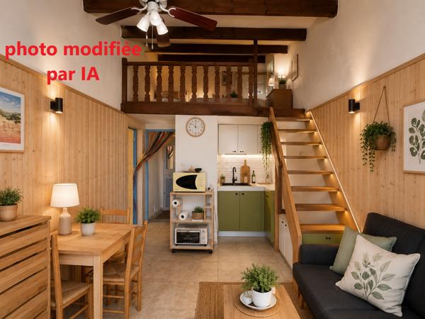CABANES DE FLEURY Pavillon T2 + Mezzanine