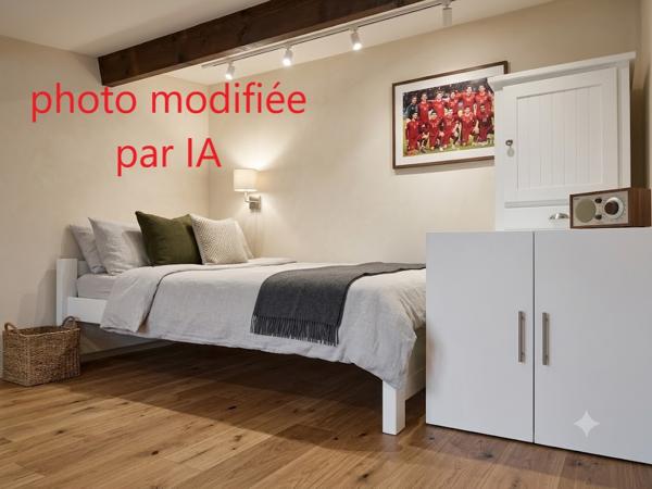 CABANES DE FLEURY Pavillon T2 + Mezzanine