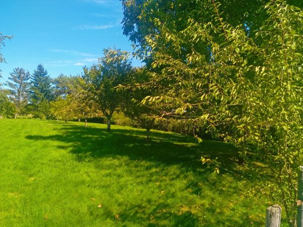 Maison familiale avec un grand terrain