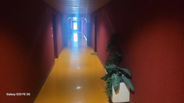 Quartier Coty (Tours Nord), charmant appartement Duplex de 100 m² avec parking et cave