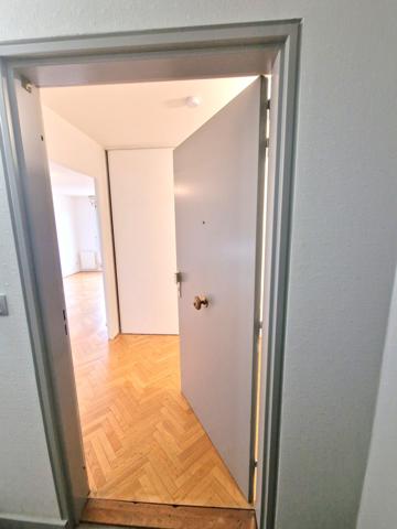 Lyon (69007) T3 complètement rafraichi + cave et garage + balcon - DISPONIBLE !