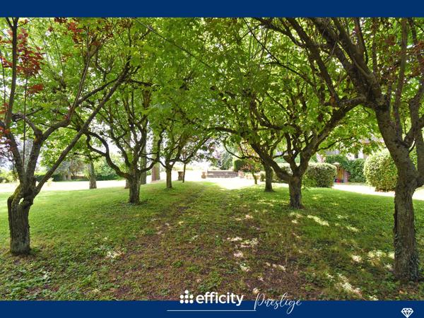 Maison 16 pièces - 450 m² Bien prestige