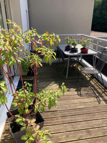 Appartement à louer à Rodez (12000)