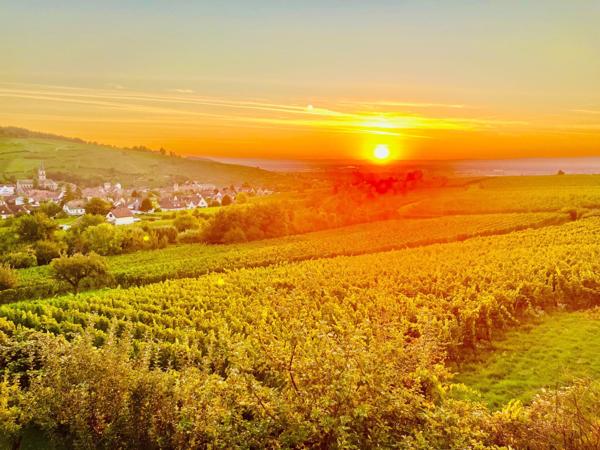 Domaine d'exception avec plus de 27 000 m² de terrain.