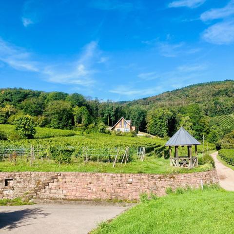 Domaine d'exception avec plus de 27 000 m² de terrain.