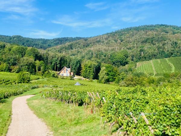 Domaine d'exception avec plus de 27 000 m² de terrain.