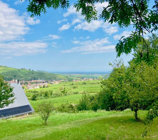 Domaine d'exception avec plus de 27 000 m² de terrain.