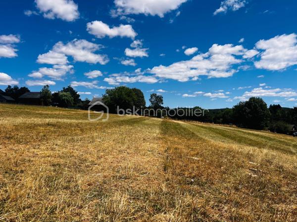 Et si votre coin de nature vous attendait au bord du lac de Pareloup ?

Découvrez ces 8 terrains de loisirs d’environ 400 m² chacun, une opportunité rare pour profiter d’un cadre exceptionnel sans les contraintes d’un grand terrain ! 

Pourquoi ces parcelles séduisent-elles autant ?

- Une superficie idéale : facile à entretenir, sans y consacrer tous vos week-ends.
- Une magnifique vue sur le lac.
- Un environnement calme et verdoyant.
- Un accès privé à la plage du lac en indivision. 
- L’endroit parfait pour se retrouver en famille ou entre amis, pique-niquer, se détendre et profiter pleinement des beaux jours.

À savoir :
* Terrain non constructible.
* Usage exclusivement destiné aux loisirs.

Un véritable petit havre de paix pour ceux qui recherchent la nature, la simplicité et des moments de convivialité proche du  bord de l’eau.