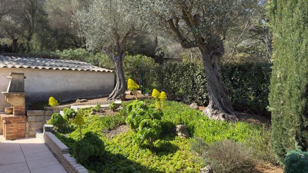 Maison T4 plain-pied 130 m² - Piscine – 1100 m²