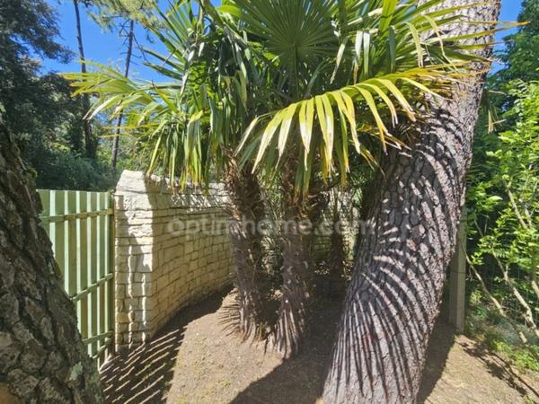 Maison à vendre surface untile 146 m² RIVEDOUX PLAGE (17)