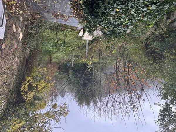 Maison à vendre |  Voutezac |  3 pièces | 115 m²
