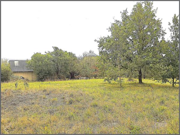 Terrain 2100 m2 - 44670 LA CHAPELLE GLAIN