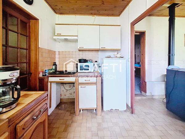 Ensemble immobilier 2 maisons, 2 garages, jardin