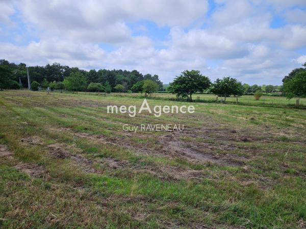 Maison à Longué-Jumelles, 49160 - 11 pièces 395m²