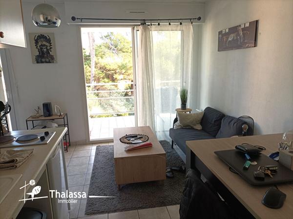 Appartement Saint Brevin Les Pins 1 pièce(s) 29 m2,  
Saint brevin les pins 44250