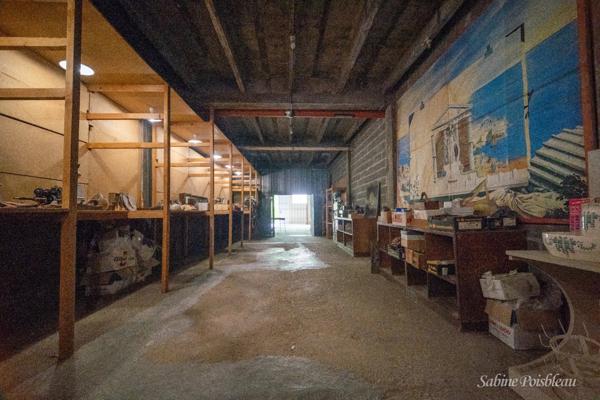 Exceptionnel au coeur de Saumur et des bords de loire une demeure de 375 m² - dépendances - Garages - jardin -1439m²