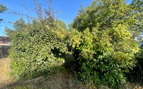 Terrain à vendre    Capbreton